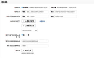 拼多多一般贸易店铺解析 入驻指南与线上代理模式探讨